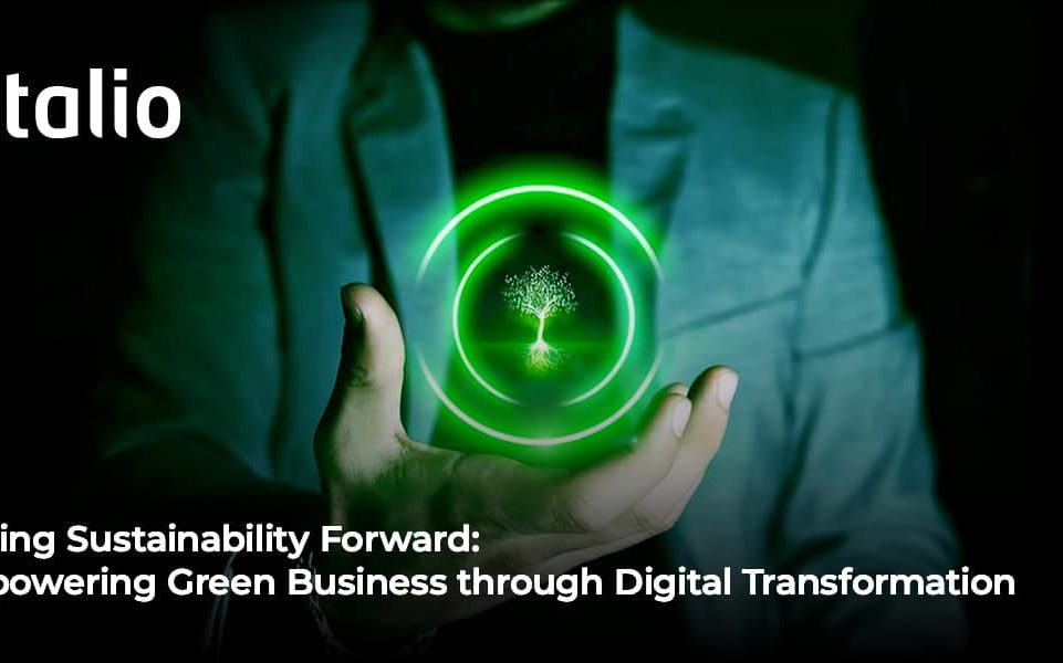 How Digital Transformation Amplifies Sustainability